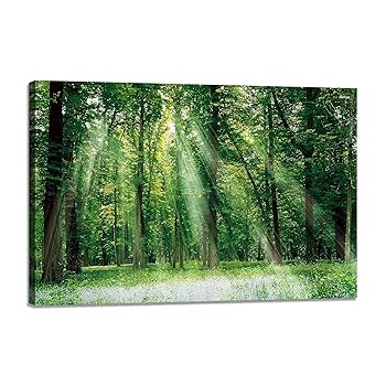 Amazon.co.jp: 絵画 壁画の風景画 自然 森 緑 太陽 夏 枝下 林間